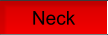 Neck